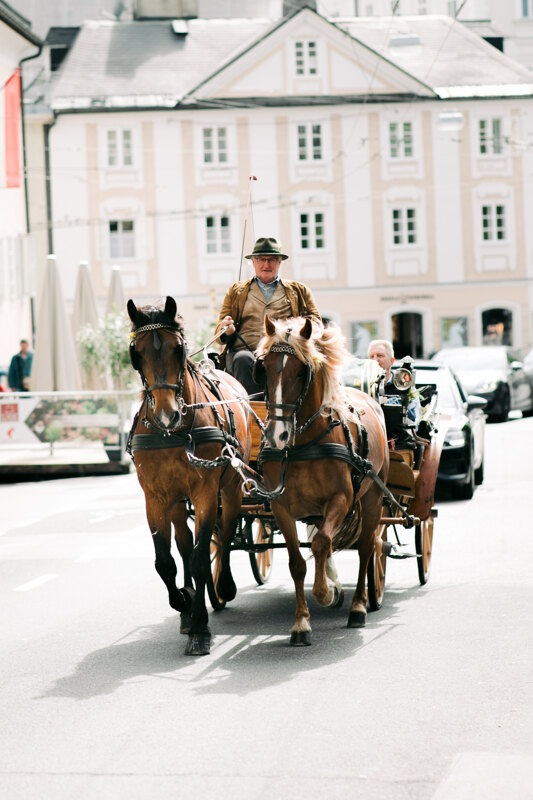 Wedding photography portfolio in Italy: A man drives a horse-drawn chariot
