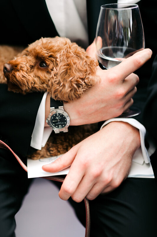 Wedding photoshoot in Italy: A man in a tuxedo, with one hand holding his little dog on his lap, and the other with a sparkling glass, he has an expensive, luxurious watch on his hand